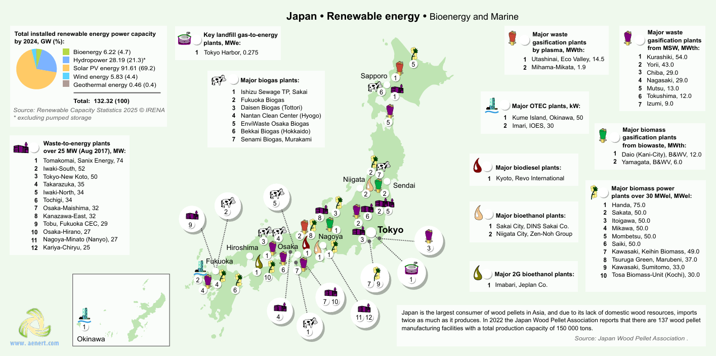 Japan bioenergy