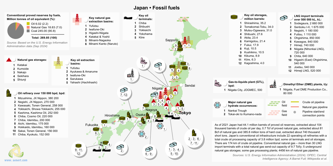 Japan fossil fuel energy mix